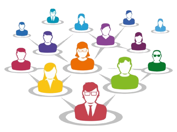 Targeted Audience Reach